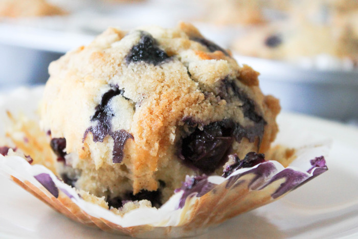 Blueberry Banana Streusel Muffins - A perfect breakfast treat using your fresh blueberries!